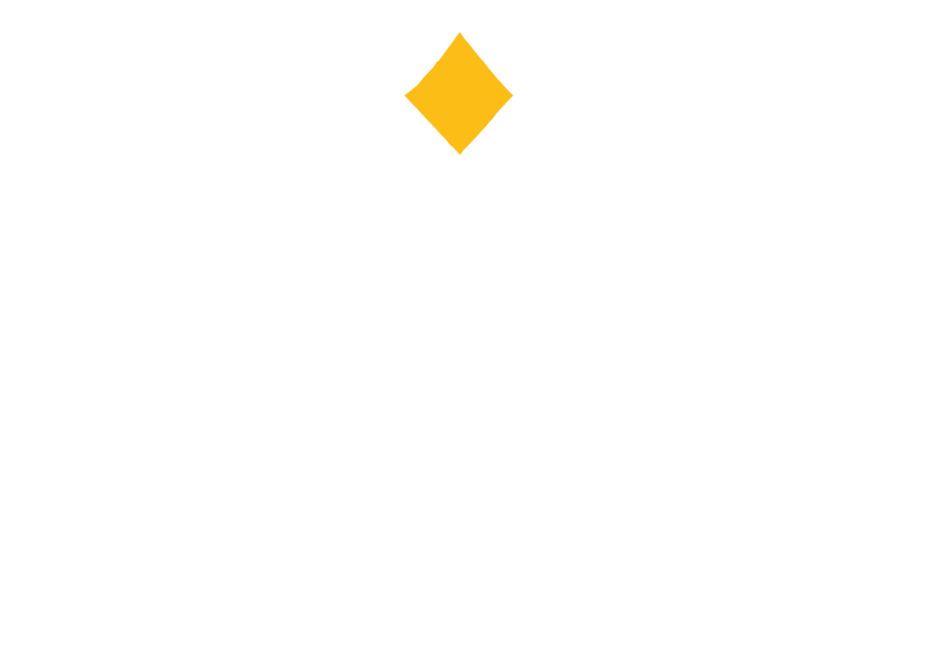 The Limited Store - Logo
